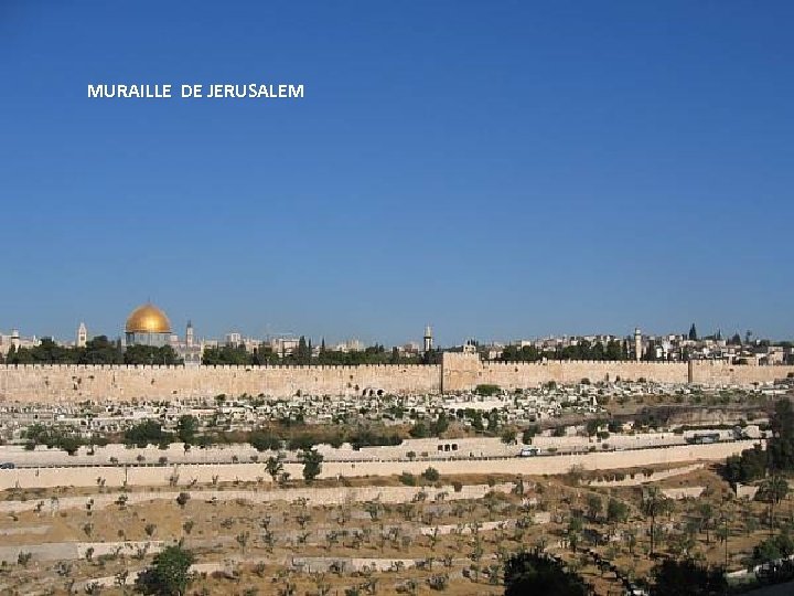 MURAILLE DE JERUSALEM Sunday, March 18, 2018 6 
