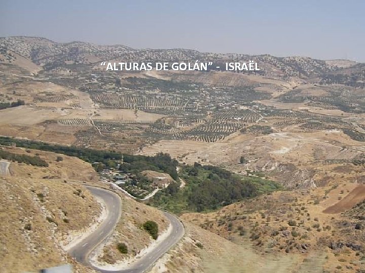 “ALTURAS DE GOLÁN” - ISRAËL Sunday, March 18, 2018 63 
