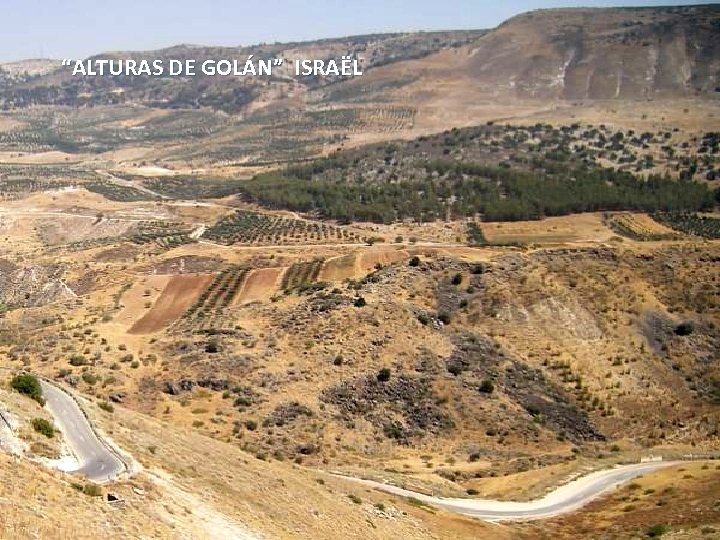 “ALTURAS DE GOLÁN” ISRAËL Sunday, March 18, 2018 64 