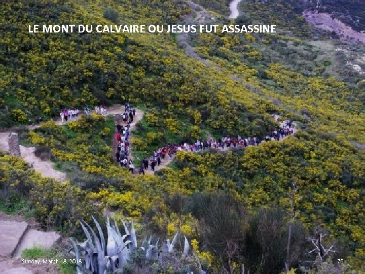 LE MONT DU CALVAIRE OU JESUS FUT ASSASSINE Sunday, March 18, 2018 76 