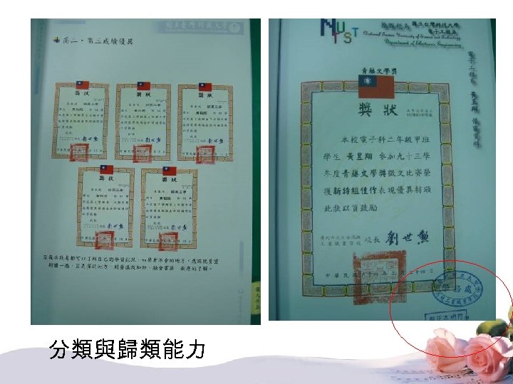 分類與歸類能力 