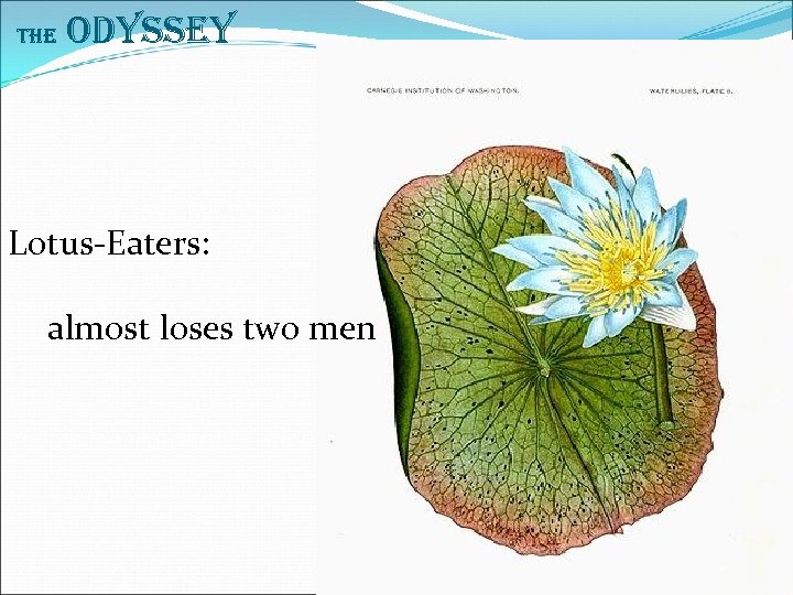 The Odyssey Lotus-Eaters: almost loses two men 