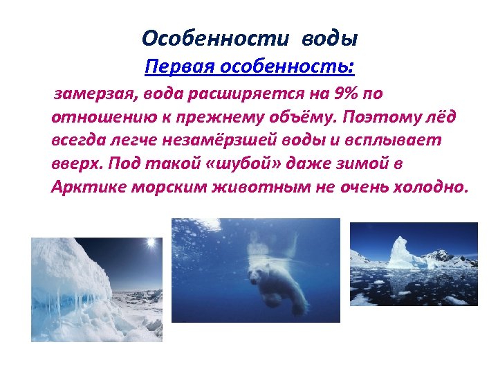 Характеристика водной. Особенности воды. Специфика воды. Главная особенность воды…. Особенности водных.