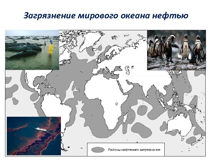 Виды загрязнения мирового океана. Районы загрязнения мирового океана. Загрязнение мирового океана нефтью карта. Карта загрязнения мирового океана. Карта нефтяного загрязнения мирового океана.