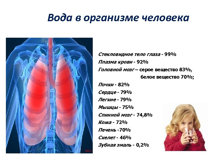 Вода в организме человека Стекловидное тело глаза - 99% Плазма крови - 92% Головной