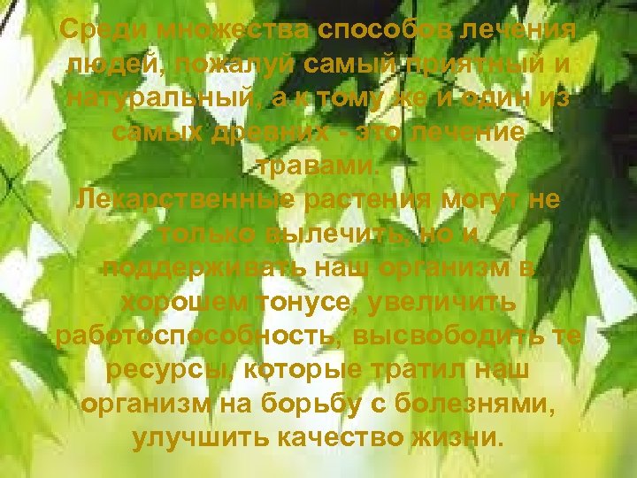 Среди множества способов лечения людей, пожалуй самый приятный и натуральный, а к тому же