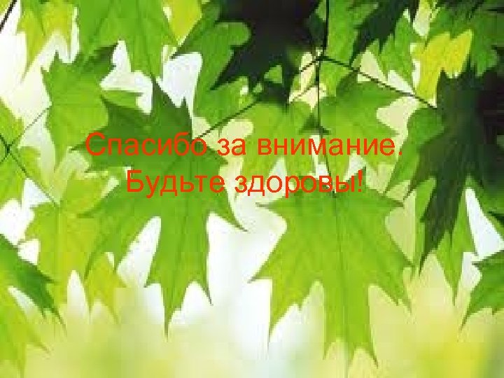 Спасибо за внимание. Будьте здоровы! 