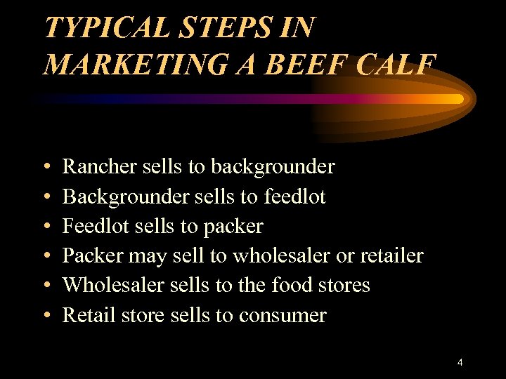 TYPICAL STEPS IN MARKETING A BEEF CALF • • • Rancher sells to backgrounder