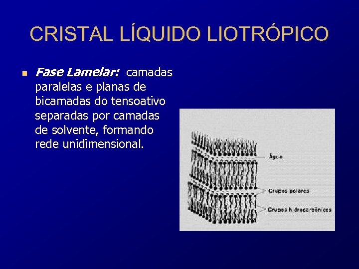 CRISTAL LÍQUIDO LIOTRÓPICO n Fase Lamelar: camadas paralelas e planas de bicamadas do tensoativo