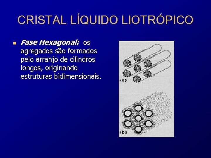 CRISTAL LÍQUIDO LIOTRÓPICO n Fase Hexagonal: os agregados são formados pelo arranjo de cilindros