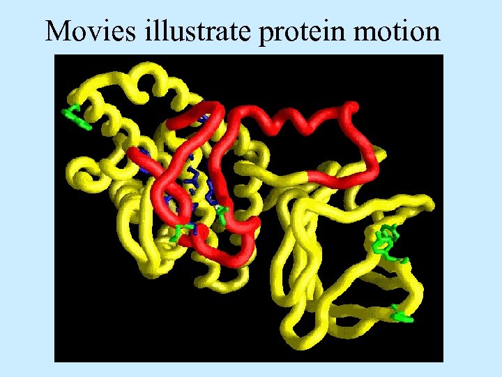 Movies illustrate protein motion 