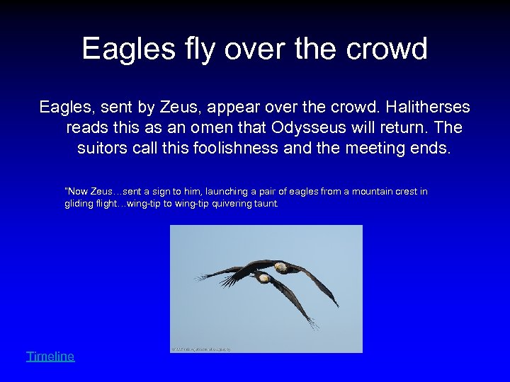 Eagles fly over the crowd Eagles, sent by Zeus, appear over the crowd. Halitherses