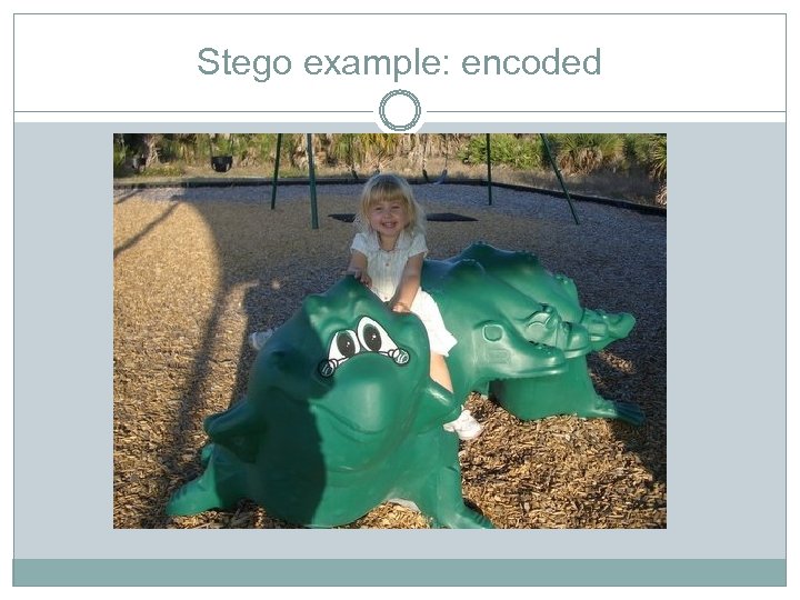 Stego example: encoded 