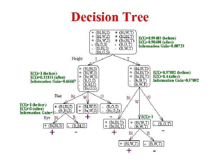 Decision Tree 