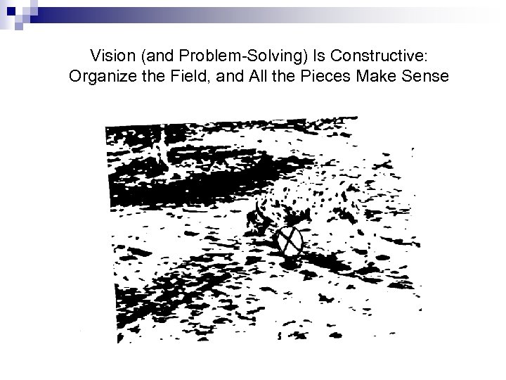 Vision (and Problem-Solving) Is Constructive: Organize the Field, and All the Pieces Make Sense