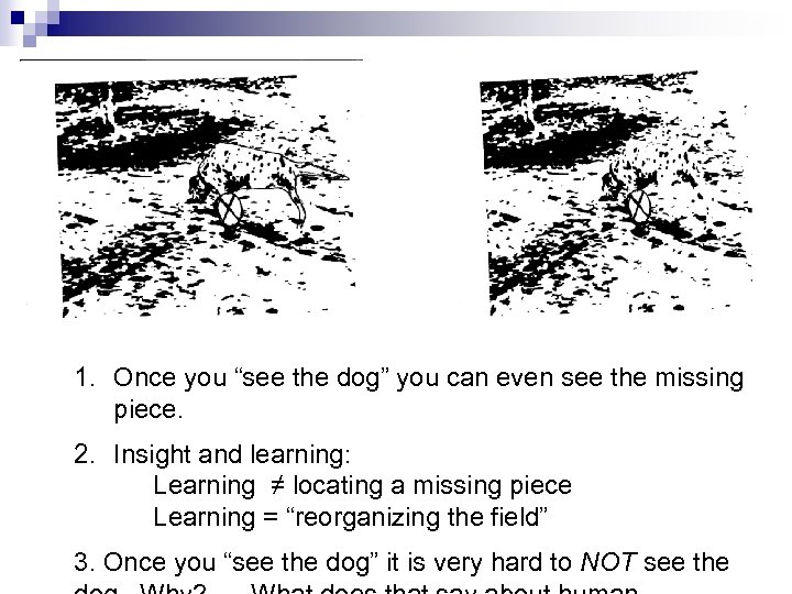 1. Once you “see the dog” you can even see the missing piece. 2.