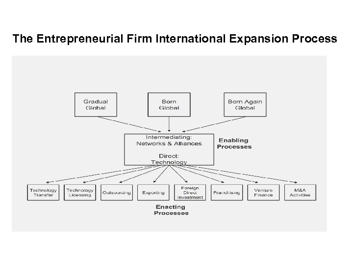 The Entrepreneurial Firm International Expansion Process 