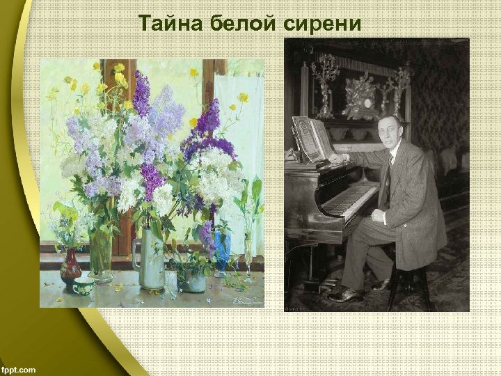 Тайна белой сирени 