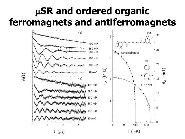 m. SR and ordered organic ferromagnets and antiferromagnets 
