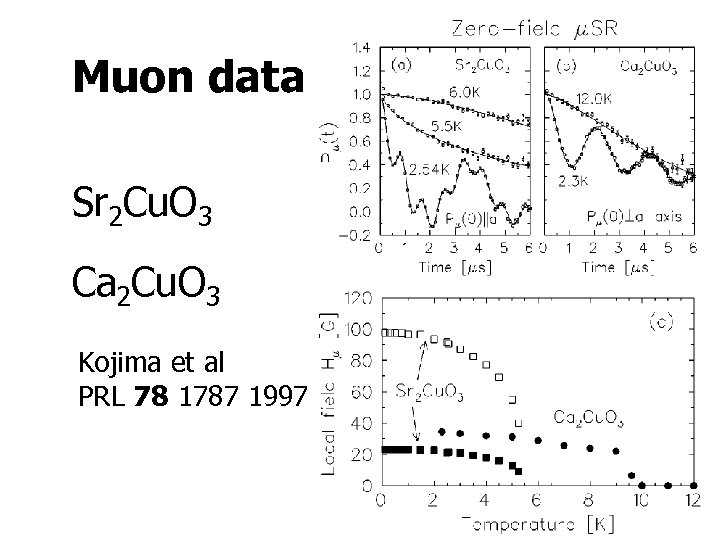 Muon data Sr 2 Cu. O 3 Ca 2 Cu. O 3 Kojima et