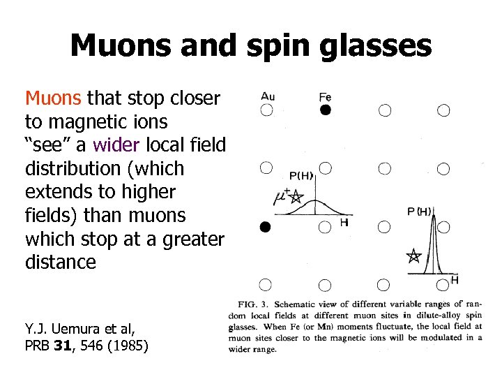 Muons and spin glasses Muons that stop closer to magnetic ions “see” a wider