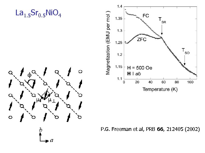La 1. 5 Sr 0. 5 Ni. O 4 P. G. Freeman et al,