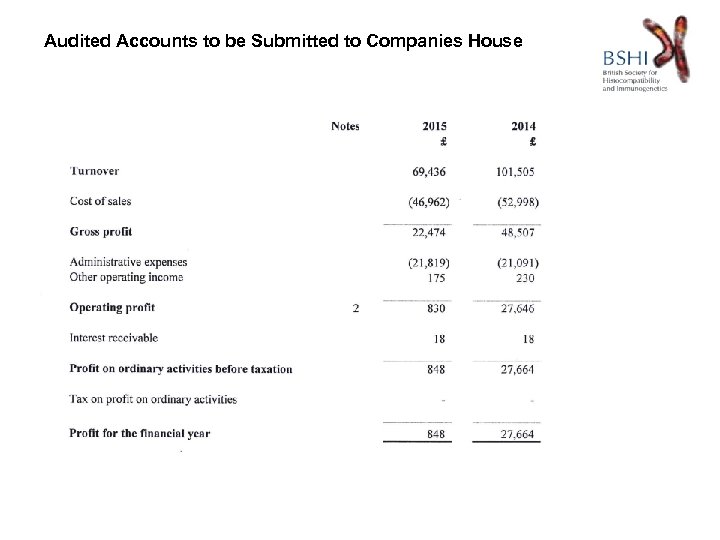Audited Accounts to be Submitted to Companies House 
