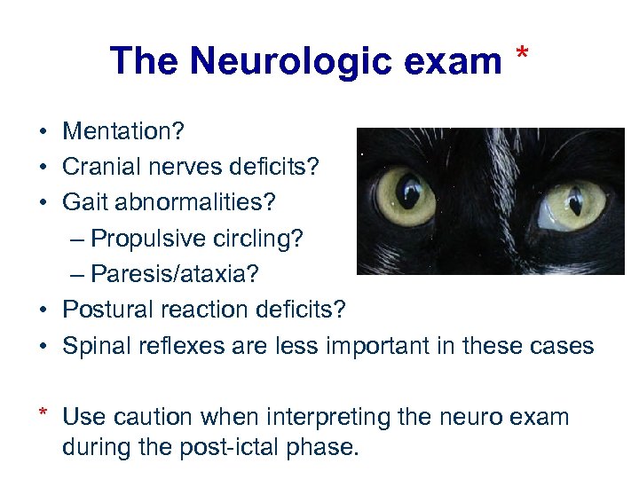 The Neurologic exam * • Mentation? • Cranial nerves deficits? • Gait abnormalities? –