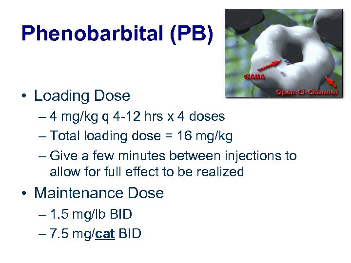 Phenobarbital (PB) • Loading Dose www. neurorelief. com/ images/articles/gabaci. gif – 4 mg/kg q