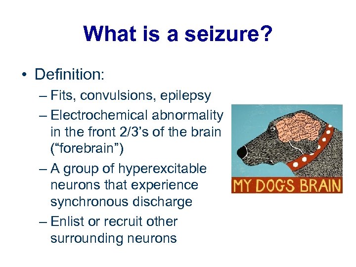 What is a seizure? • Definition: – Fits, convulsions, epilepsy – Electrochemical abnormality in