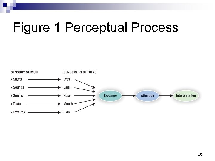 Figure 1 Perceptual Process 20 