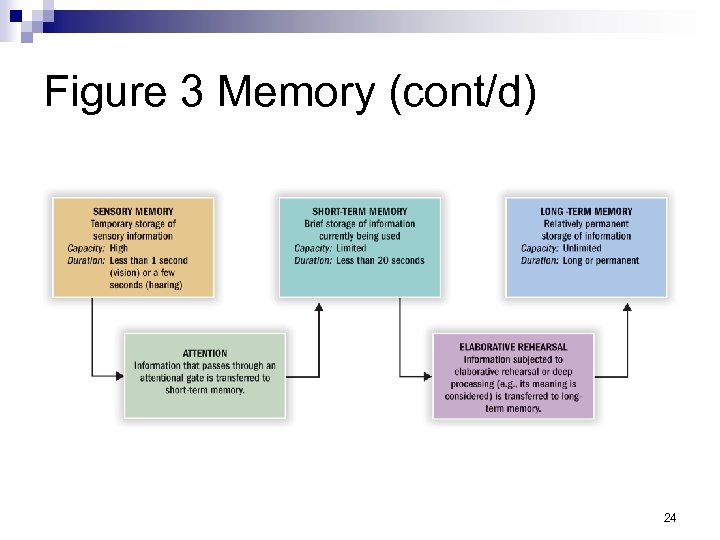 Figure 3 Memory (cont/d) 24 