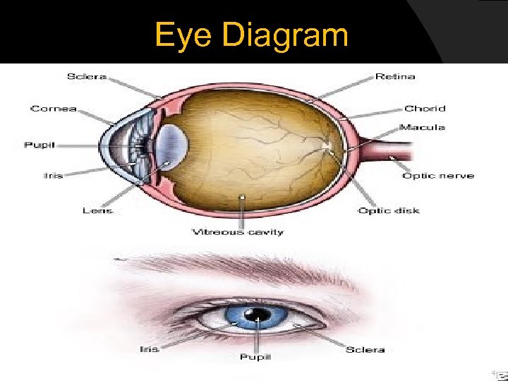  Eye Diagram 4 