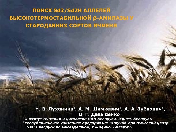 ПОИСК Sd 3/Sd 2 H АЛЛЕЛЕЙ ВЫСОКОТЕРМОСТАБИЛЬНОЙ β-АМИЛАЗЫ У СТАРОДАВНИХ СОРТОВ ЯЧМЕНЯ Н. В.