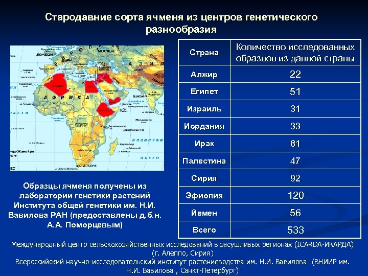 Стародавние сорта ячменя из центров генетического разнообразия Страна Алжир 22 Египет 51 Израиль 31