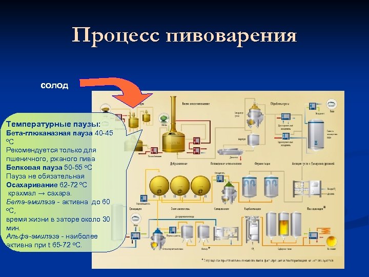 Процесс пивоварения солод Температурные паузы: Бета-глюканазная пауза 40 -45 o. C Рекомендуется только для