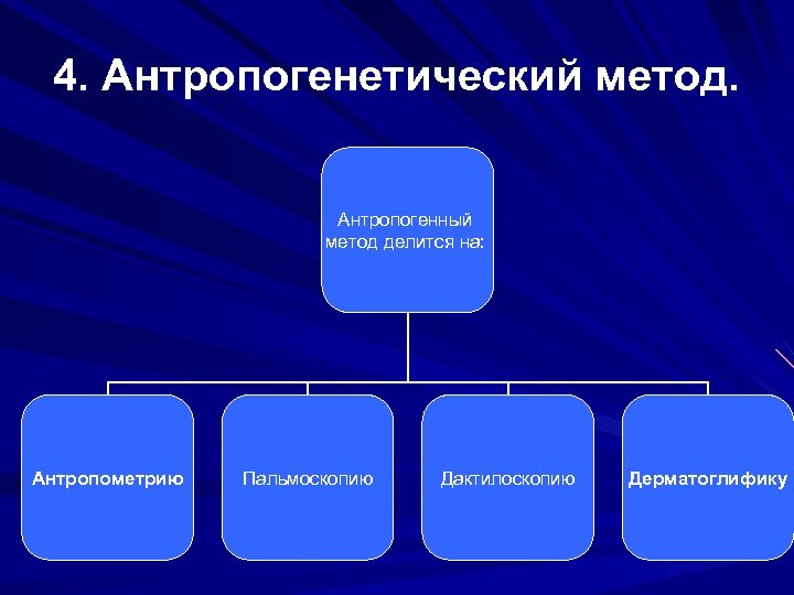 4. Антропогенетический метод. Антропогенный метод делится на: Антропометрию Пальмоскопию Дактилоскопию Дерматоглифику 