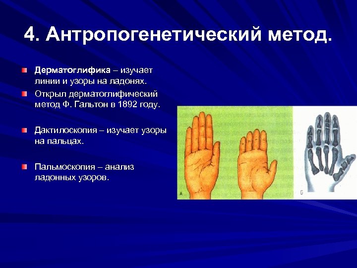 4. Антропогенетический метод. Дерматоглифика – изучает линии и узоры на ладонях. Открыл дерматоглифический метод