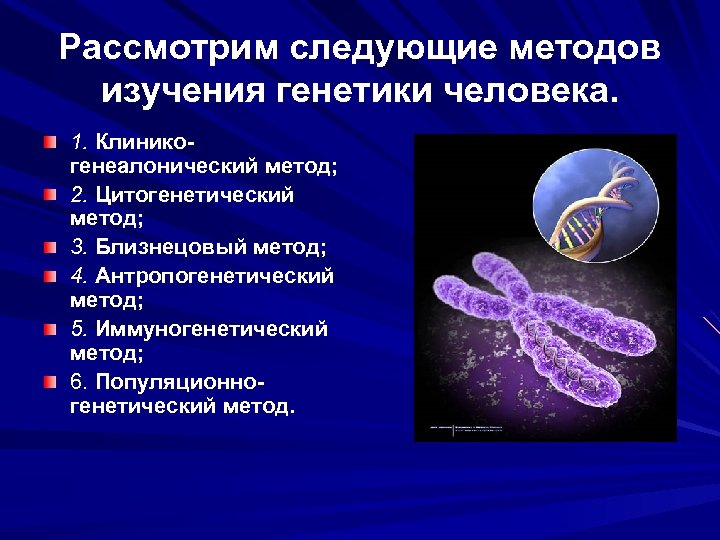 Близнецовый метод генетики картинки