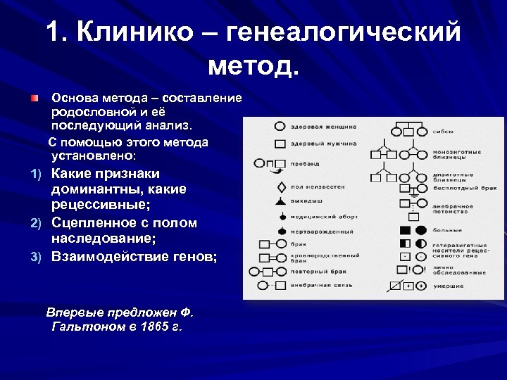 1. Клинико – генеалогический метод. Основа метода – составление родословной и её последующий анализ.