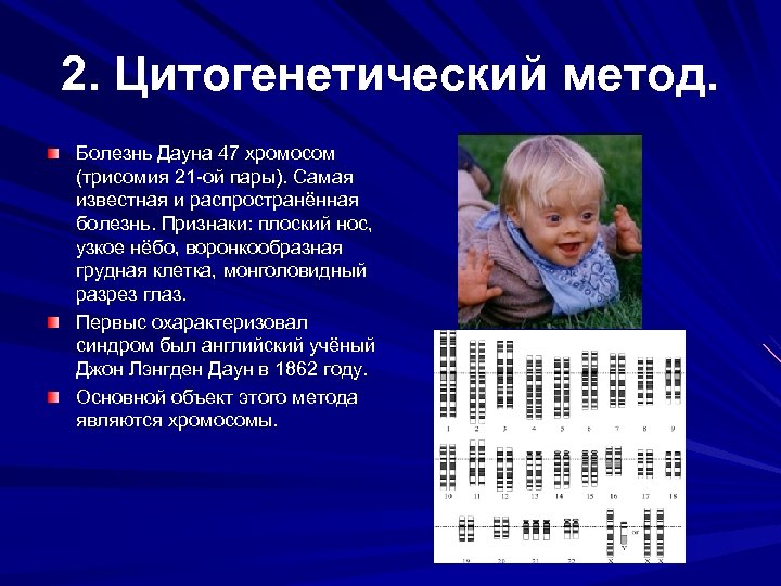 Методы исследования генетики человека презентация 10 класс