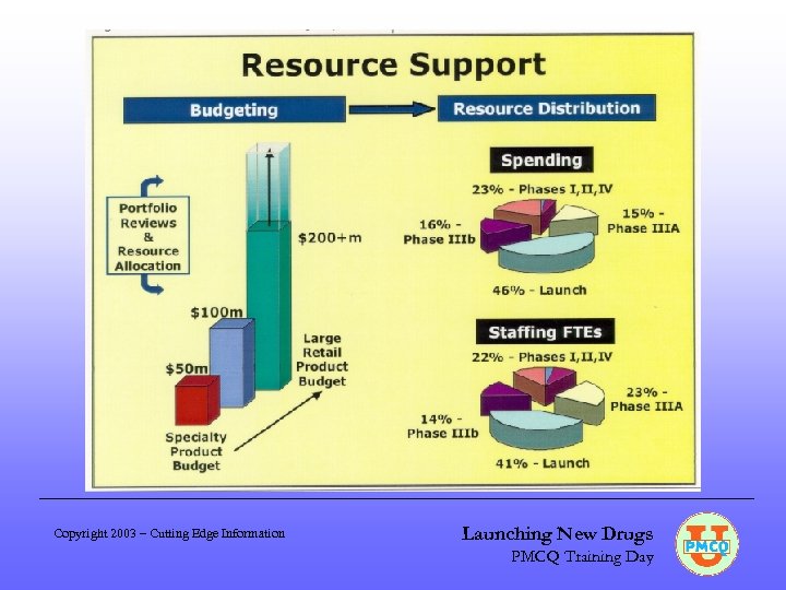 Copyright 2003 – Cutting Edge Information Launching New Drugs PMCQ Training Day 