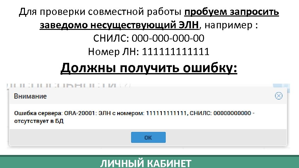 Для проверки совместной работы пробуем запросить заведомо несуществующий ЭЛН, например : СНИЛС: 000 -000