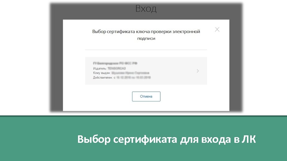 Выбор сертификата для входа в ЛК 