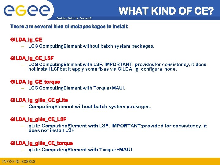 WHAT KIND OF CE? Enabling Grids for E-scienc. E There are several kind of
