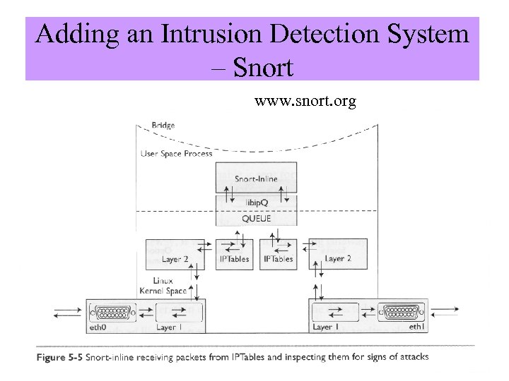 Adding an Intrusion Detection System – Snort www. snort. org Image from “Know Your