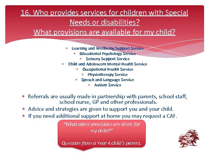 16. Who provides services for children with Special Needs or disabilities? What provisions are