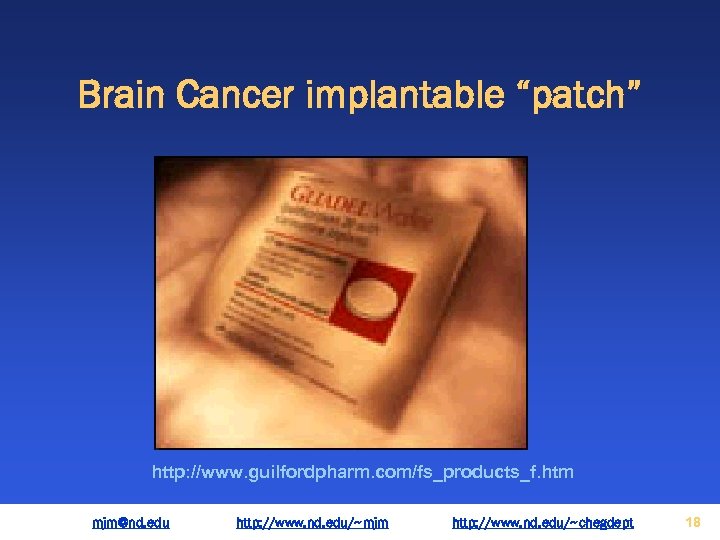 Brain Cancer implantable “patch” http: //www. guilfordpharm. com/fs_products_f. htm mjm@nd. edu http: //www. nd.