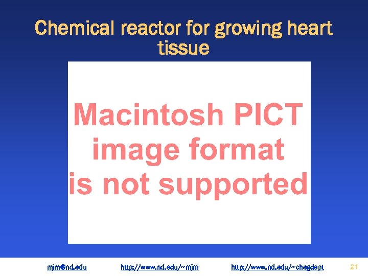 Chemical reactor for growing heart tissue mjm@nd. edu http: //www. nd. edu/~mjm http: //www.