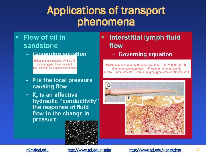 Applications of transport phenomena • Flow of oil in sandstone • Interstitial lymph fluid
